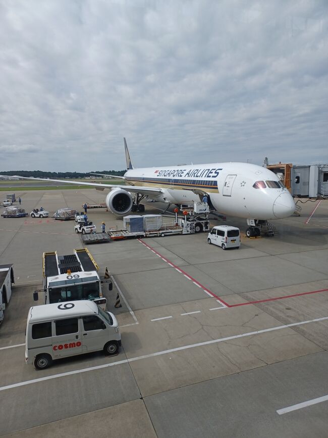 シンガポール シンガポール航空（SQ637便NRT→SIN）ビジネスクラス