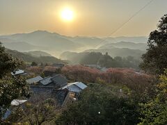 四国4日目！
花の季節ということで&#65532;、桑田山雪割桜&#127800;を観に行ってきました。
が、今シーズンはもう散りかけていました。
駐車スペースが近くにない事もあって早々に退散、次へ向かいます！