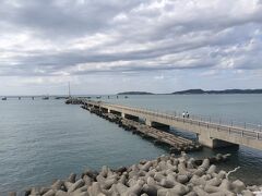 こちらの館山夕日桟橋は桟橋形式としては、日本一長い桟橋で、海岸通りから500mの長さがあります。
