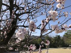 バスの一日乗車券を購入してまず向かったのが21世紀美術館。