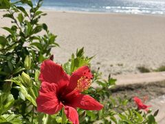 多々戸浜海水浴場