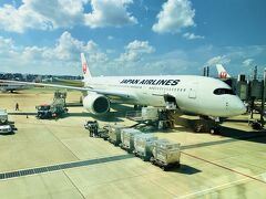 マイルで予約しました。
今年になってマイルの特典航空券予約が厳しくなりました。
A350