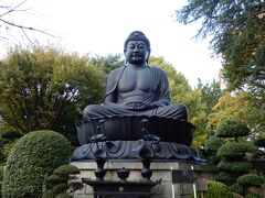 乗蓮寺の境内に、東京と名の付く高さ13mもある東京大仏の坐像があった。
黄葉には少し早かった様だ