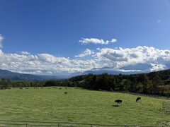 小作から車で10分の、まきば公園。敷地が広く景色も開けていて気持ちいい。