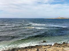 次にむかったのが大間崎。うっすら北海道が見えました。