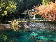 次に向かったのは山口県の名水百選に選ばれている湧水地、別府弁天池