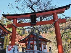 ●金櫻神社

ダムからさらに山の奥へと車を走らせ、「昇仙峡」を登りつめた地に「金櫻（かなざくら）神社」が鎮座していますので、最後、こちらへ参拝していくことに。
