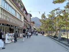 今日は弥山登山が第一目的。厳島神社は下山後か明日にする予定。
宮島は高校の修学旅行で来た以来なので実に41年ぶり？