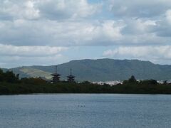 池越しの薬師寺。この風景をよく目にします。この池が大池です。大池を前景に、山々を後景にして薬師寺の塔や金堂のある風景、万葉集にも詠まれたという奈良を代表する風景です。