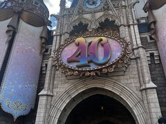 ４０周年、おめでとうディズニーランド！