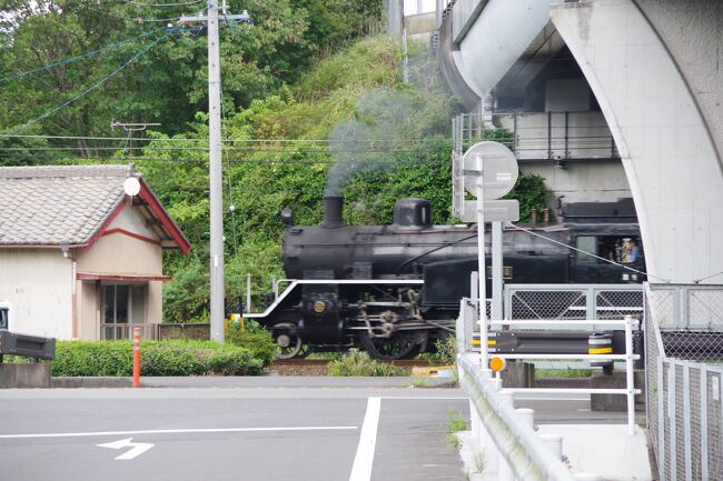 大井川鐡道を引退したC11312、そして現役のトーマスとC108