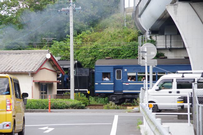 大井川鐡道を引退したC11312、そして現役のトーマスとC108 大井川鐡道を引退したC11312、そして現役のトーマスとC108