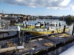 夕照橋を渡ると野島の釣り船新修丸の乗船場だ。
野島に渡って右手に進むと「忠彦丸海苔店」など3軒の海苔製造販売店がある。今シーズンの海苔ひびの設置が完了し、春先にかけて海苔が育成されるのを観察することができる。
写真正面にDeNAの屋内練習場などが遠望される。