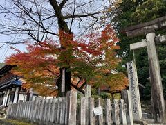 レンタカーを借り最初に来たのは森水無八幡神社。