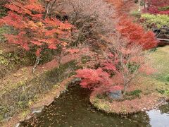 誰もいない穴場の公園を発見。