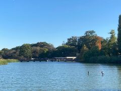 玉川上水沿いに歩いて、井の頭公園へ。
吉祥寺から、総武緩行線で高円寺へ。