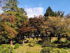 福島城にあった紅葉山、福島城の少ない遺構です
モミジも紅葉が始まってます