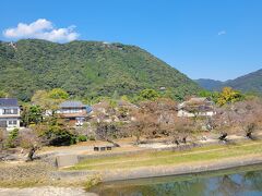 橋の向こう側の山の上に岩国城が見えます