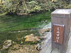 間もなく、清水橋に着きました。
橋のすぐ下を水が流れています。