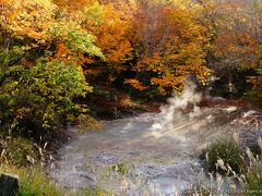 阿寒湖遊歩道の見どころ「ボッケ」
泥上の温泉が湧き出る場所です。
温かい湯気が出ているからなのか、ここの紅葉はより美しかったですよ。