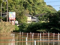 今度は水郷巡りへ
予約してた時間までかなりあるけど、
することないし
早めに行ったら、お客は我が夫婦だけだったので、早めに舟出してもらえたよ

以前乗った水郷巡りのとこではなく、もう少し北にある「島真珠」というところ
手漕ぎではなく、エンジン付きのボートでの水郷巡りです
