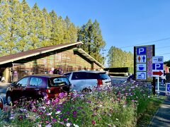 高速道路で小林ICまで1時間弱移動

途中、高千穂峰ほかの眺めが素晴らしい高速道路です

生駒高原コスモス3023を見に行きました

こちらは別途に書きます