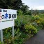 衝撃的な花の木美術館・竹細工・二階堂美術館・一人旅にぴったりのカジュアルなホテルエール泊☆別府温泉と国東アートを廻る女子ひとり旅⑦４日目