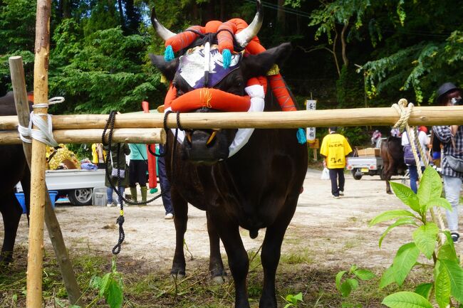 52 値下げしました　古民具、花田植、牛鞍、 52 古民具、花田植、牛鞍、