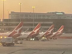 カンタス航空の尾翼が並ぶ光景を見てオーストラリアに来たことを実感しました。