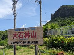 やんばる世界自然遺産に登録された大石林山に来ました。