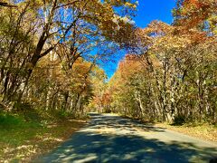 志賀草津道路（国道292号線）を長野県方面に向かって行きます。