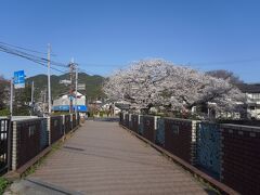 三井寺駅から三井寺を目指しますが。
その前にこれは大津絵の道。明日都浜大津から、市役所前を経由して皇子が丘公園までの遊歩道です。道沿いにはあちこちに大津絵が飾られているはずでしたが、密度はあまり濃くないので、すぐに見つかるというほどでもないかな。写真は小さな橋のところです。