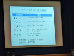 動物科学館に行くと、すでに人が一杯で、最後列にはマスコミ各社がテレビカメラを設置しスタンバイ。
私たちも後方に立ち見で準備しました。

まずは園長の挨拶の後、ゲストの絵本作家そらさんの紹介、仔の愛称候補の紹介と続きます。