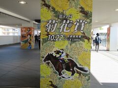 京阪淀駅で下車し歩行専用道路を歩き「京都競馬場」へと向かいます。菊花賞開催のポスターが貼られています。ウキウキしますよね。