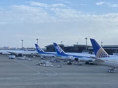 成田空港。
ANAは、初めての搭乗です。