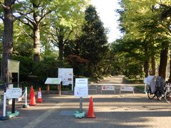 練馬区立石神井松の風文化公園に入って行くと緑が多い公園が目に入る