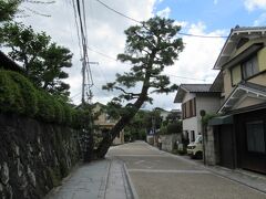 朝霧通りを更に進みます。趣のある通りになっていてその先左側には「さわらびの道」があります。