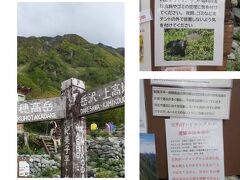 登り始めて2時間半、岳沢小屋（2170ｍ）に到着。

最初にクマと遭難の注意喚起の張り紙が目を引きました。
遭難の注意喚起はなかなか手厳しい表現ですが、
これだけ事故が多発しているのでは致し方ないでしょう。
（クリックしていただくとはっきり読めます。）
