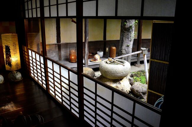 川原町屋（製紙原料商 大野家の旧宅）<br />ガラス引き戸の外側には優雅な坪庭を構えています。<br />温かみのある歪み具合から、恐らくギヤマン・ガラスを嵌め込んでいると思われます。<br />因みに蹲の後に生えている木は、見事に庇を貫いています。