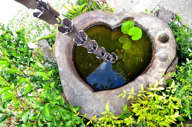 六庚申堂<br />庚申講が庶民の間に広まった時代にハートマークという概念は存在しなかったと思いますが、ハートマークと同じ形のものが「猪の目」文様です。イノシシの目を指し、古来災いを除いて福を招くという意味が込められています。<br />また、ハートマークを逆さに見ると「桃」です。古くから猿と桃は一緒に描かれることが多く、猿は山の賢者や山神の使いとされ、庚申信仰の対象としては馴染みのある動物です。また、古来中国では桃は桃源郷の不老不死の「仙果」とされ、邪気を払い不老長寿を与える植物として親しまれています。