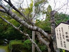 西明寺(池寺)