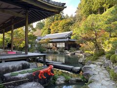 15分ほど南下して百済寺。
駐車場無料、参拝料600円。
なぜだかビニール虎が飾ってあった。