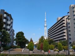 大横川親水公園を通り過ぎ錦糸町駅へ。
スカイツリーが近い。