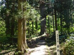 「羽黒山の爺スギ」は、随神門をくぐって参道を進むと、五重塔の手前にあります。樹齢千年以上とされる巨木で、天然記念物の指定を受けています。まっすぐに天にのびる姿は神々しさを感じました。