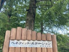 ベネフィット ステーション箱根宮城野