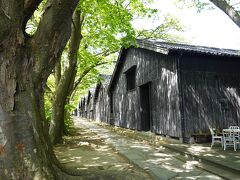 羽黒山から国道122号線を通り酒田市街中心部に向かい、最上川を渡るとすぐ左側に「山居倉庫」がありました。特に飲食や買物はしませんでしたが、観光ガイドにも必ず掲載されているスポットなので立ち寄ってみました。とても雰囲気が良く、新緑と漆黒の板壁のコントラストがとても絵になっていました。