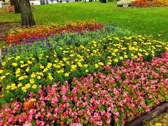 大通り公園に降りて来ました。
お花がたくさん咲いています。