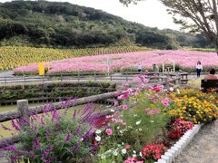 道の駅伊勢島の奥にある観光農園にやってきました。

入場料３００円です。