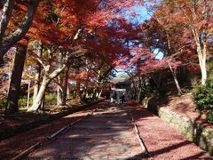 勅使坂を下から写した風景写真。
早朝に訪問すると、イメージ写真のような風景が見られるのかな。