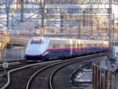 今から乗る「つばさ１２３号」が東京駅ホームに到着しようとしています(^^)

福島駅で山形方面と仙台方面に切り離される、１７両編成ですね…